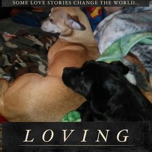 Meet your Posher, Ellen