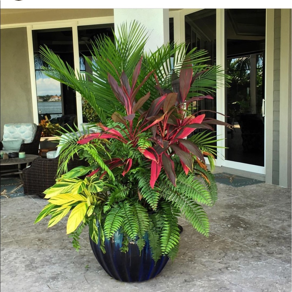 Meet your Posher, Maggie