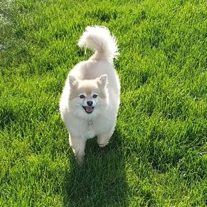 Meet your Posher, Summer