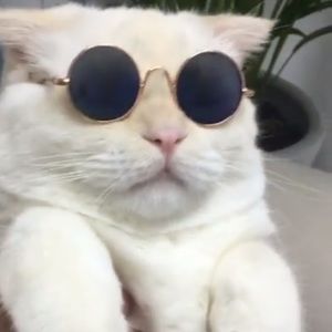 Meet your Posher, Salvador