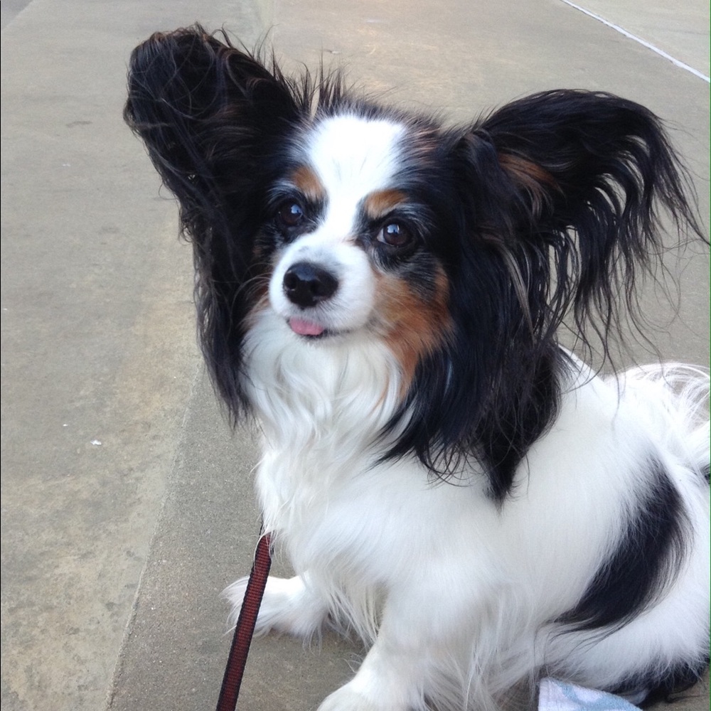 Meet your Posher, Ina