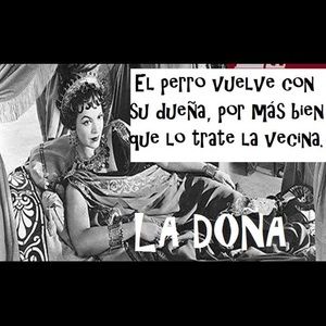 Meet your Posher, Monabel