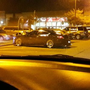 Meet your Posher, Veronica