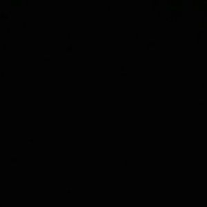 Meet your Posher, Daisy