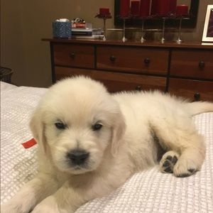 Meet your Posher, Michele