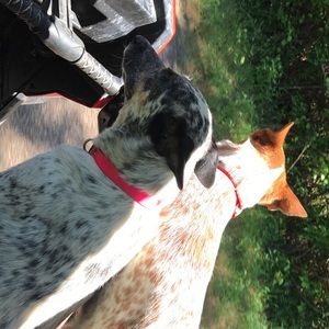 Meet your Posher, Misty