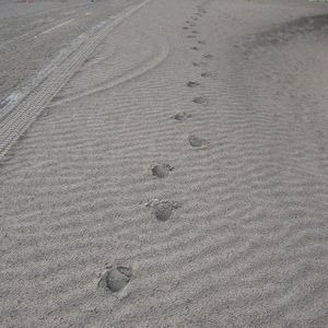 Meet your Posher, Karla