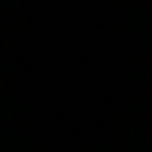 Meet your Posher, Celeste