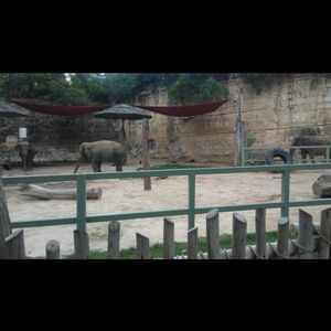 Meet your Posher, Star