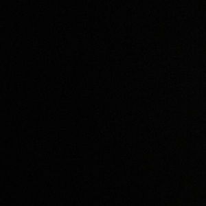 Meet your Posher, Terrell