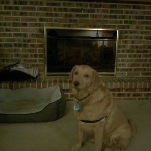 Meet your Posher, Donna