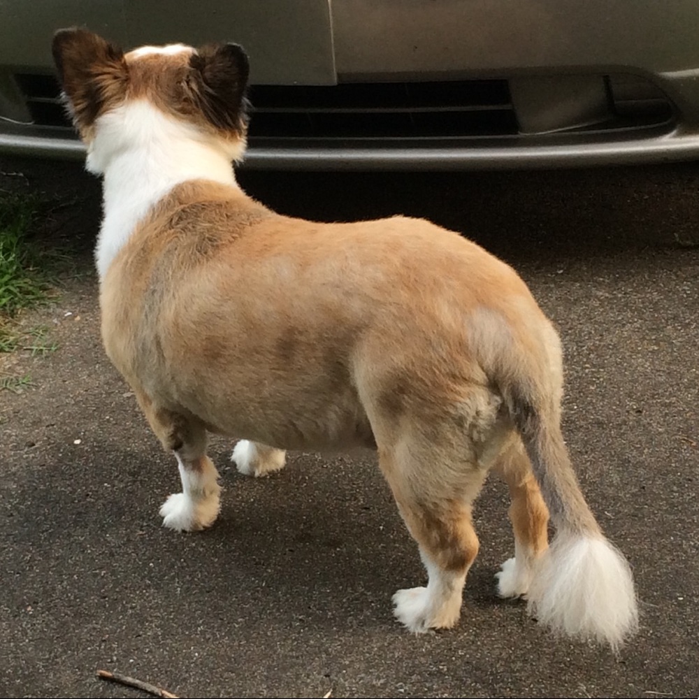 Meet your Posher, Erinne