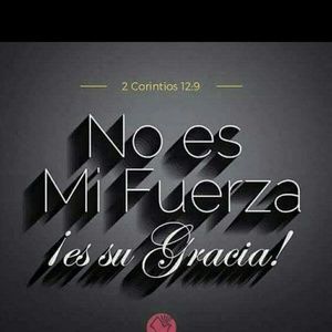 Meet your Posher, Luz