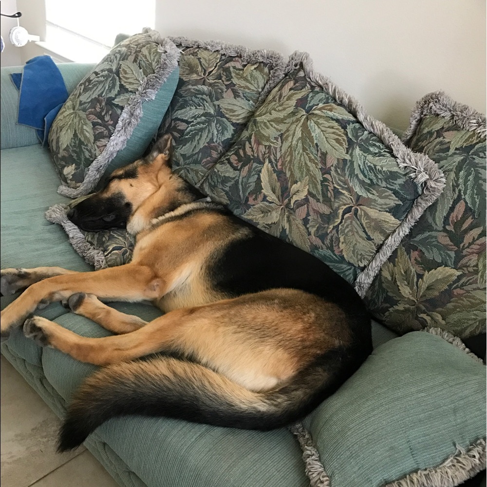 Meet your Posher, Rita