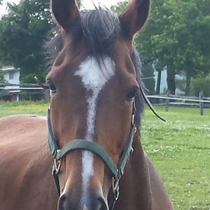 Meet your Posher, Yvonne