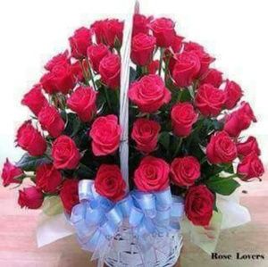 Meet your Posher, Janet