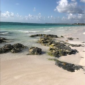 Meet your Posher, Lindsey