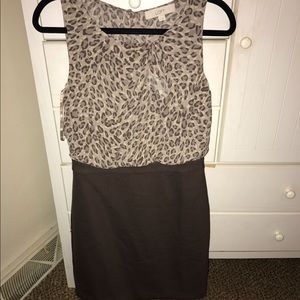Loft Pencil Dress, brand new