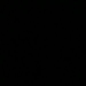 Meet your Posher, Yasmin