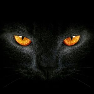 Meet your Posher, Nichole