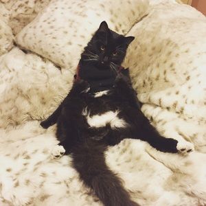 Meet your Posher, Eva