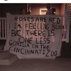 Meet your Posher, Barak