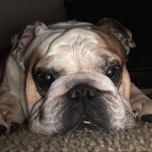 Meet your Posher, Jorge