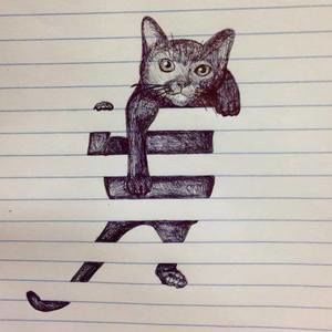 Meet your Posher, Ani