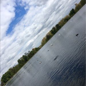 Meet your Posher, Rory