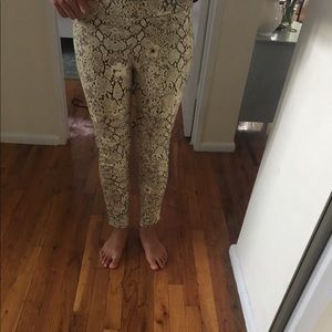 Python pants