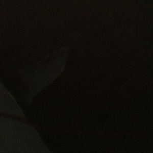 Meet your Posher, Bella