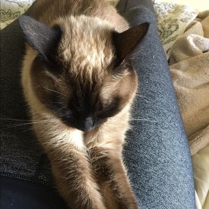 Meet your Posher, Elizabeth