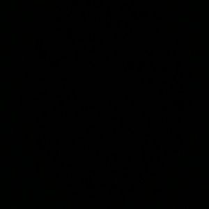 Meet your Posher, Payton