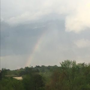 Meet your Posher, Daphne