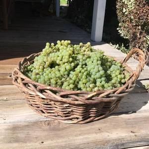 Meet your Posher, Bobbie ann