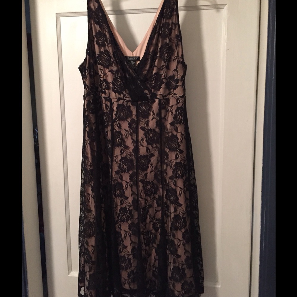 Black Lace Dress with Tan Lining