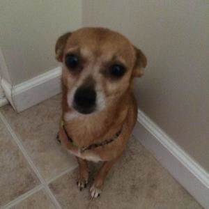 Meet your Posher, Ruth gabriela