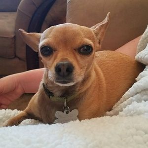 Meet your Posher, Mary