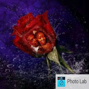 Meet your Posher, Donald