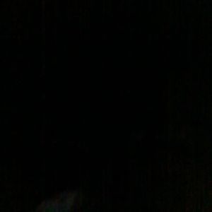 Meet your Posher, Angel