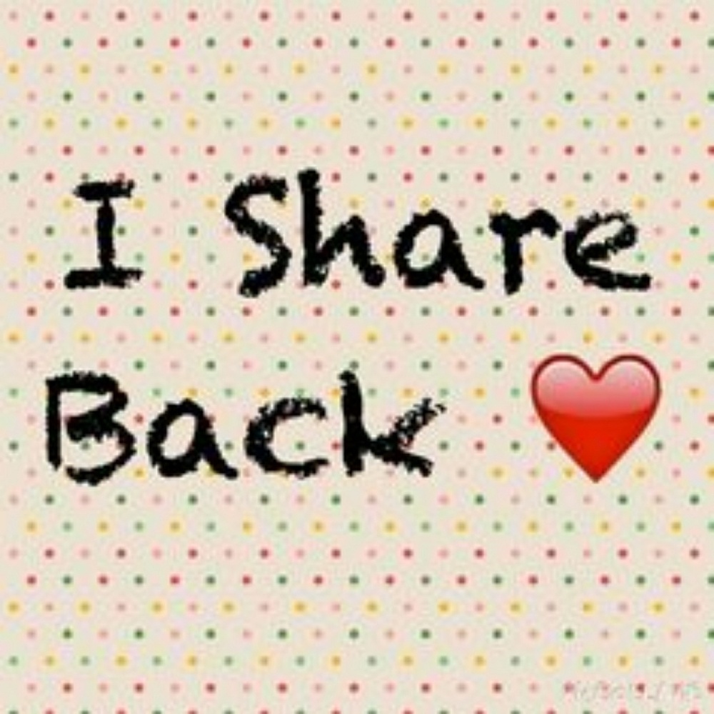 Shares/follows