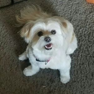 Meet your Posher, Beth