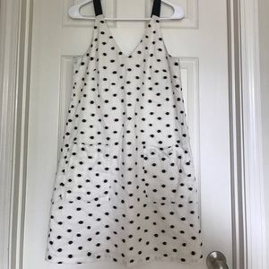 Loft Embroidered Navy Polka Dot Dress. Size 4