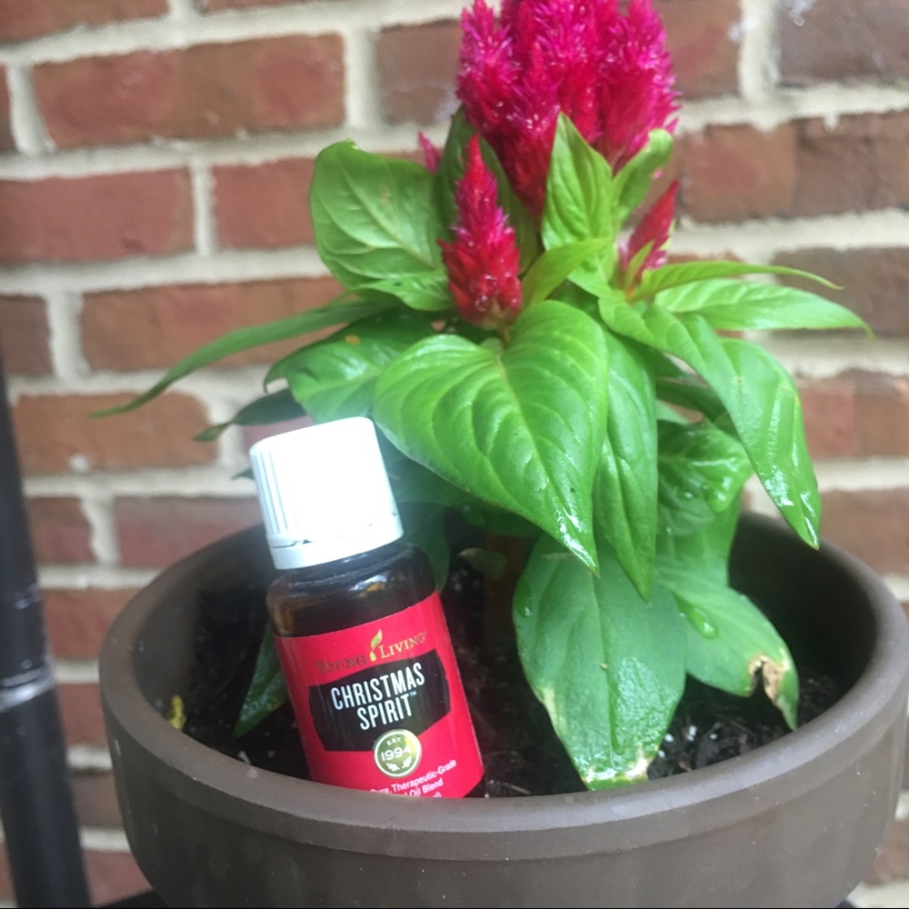 Christmas Spirit Essential Oil Blend