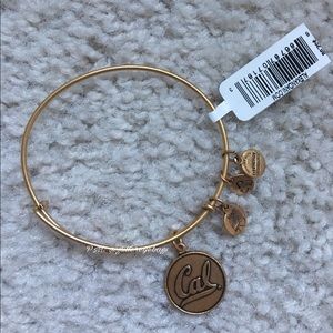 NEW Alex and Ani Cal Berkeley Gold Bracelet