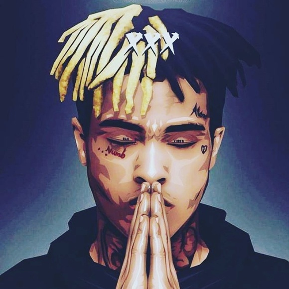 Meet your Posher, Quinn - Picture 1 of 1