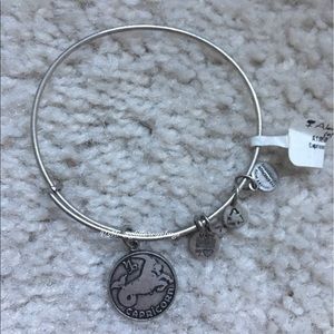 NEW Alex and Ani Capricorn Astrology Bracelet