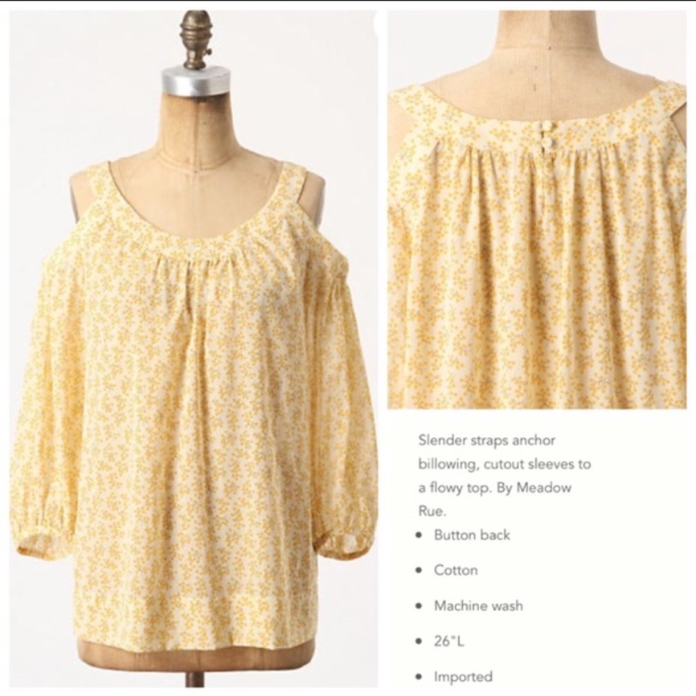 🔥Anthropologie Pyracantha Blouse by Maeve size 12