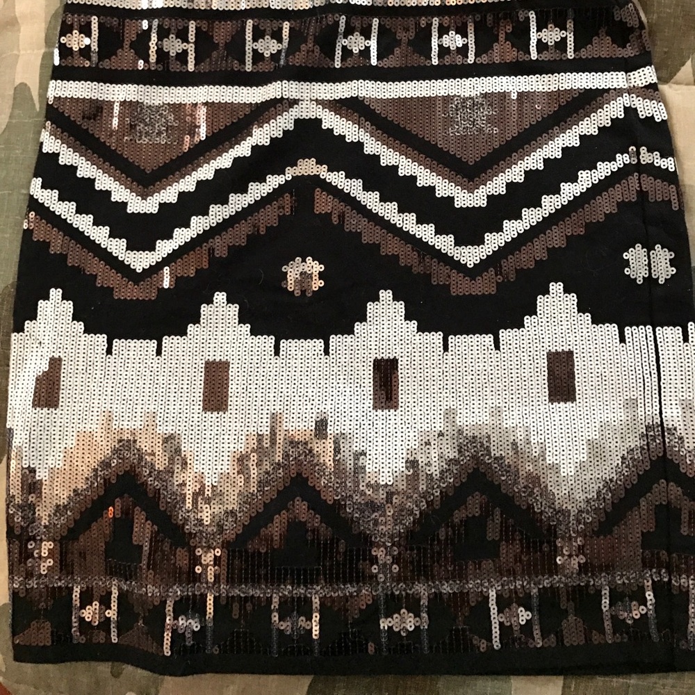 Express skirt