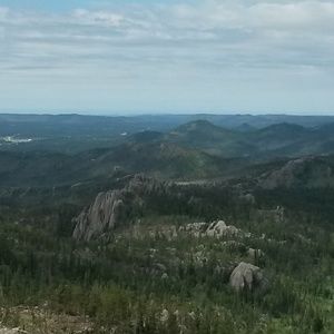 Meet your Posher, Pat